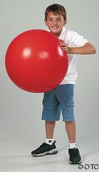 PVC Gym Ball 25" $28.95 each