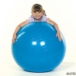 PVC Gym Ball 40" $34.95 each